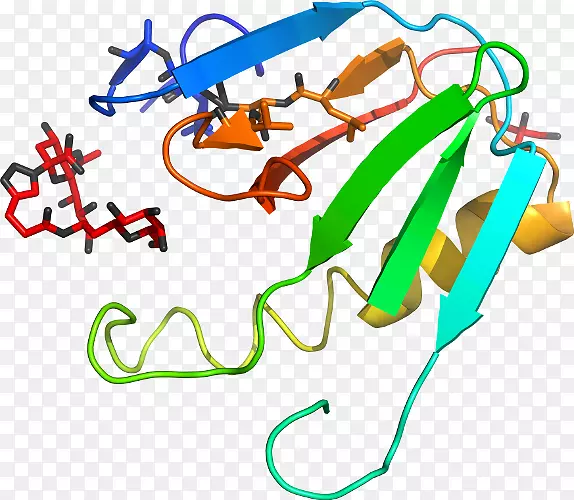 �ߵ������-��-������