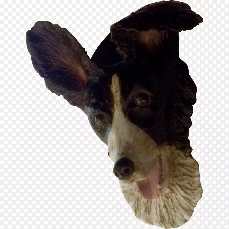 Ȯ�ֱ�ëȮ-������