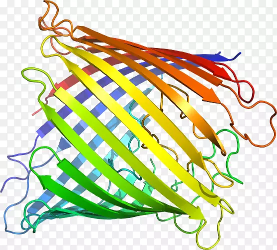 �ߵ����������-������