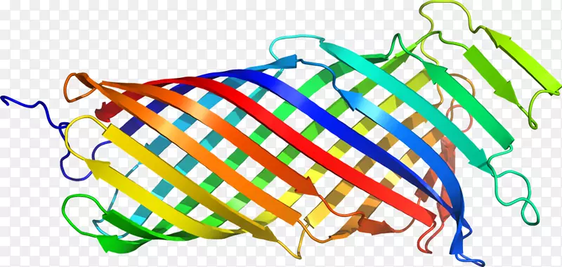 �ߵ������������-������