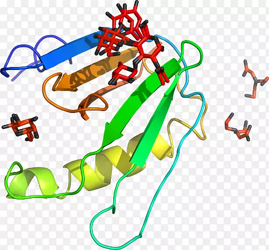 ֱ�ߵ����ﶯ���������-������