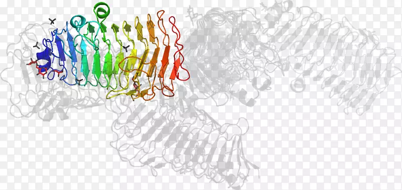 ֱ�ߵ���-������