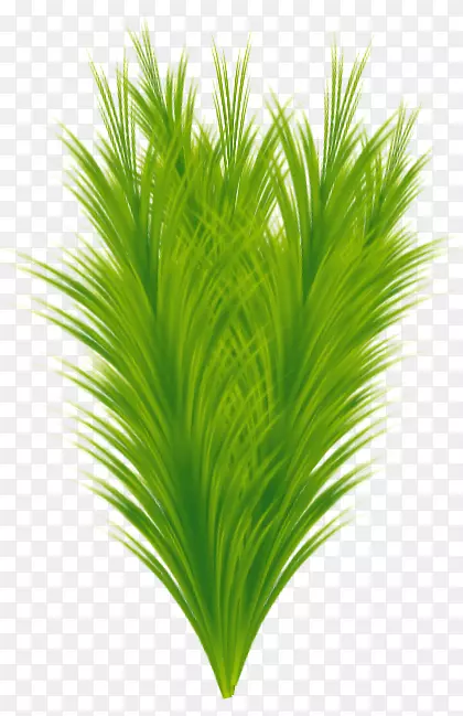 ���½��ֲ��Ҷ��Ҷ-������