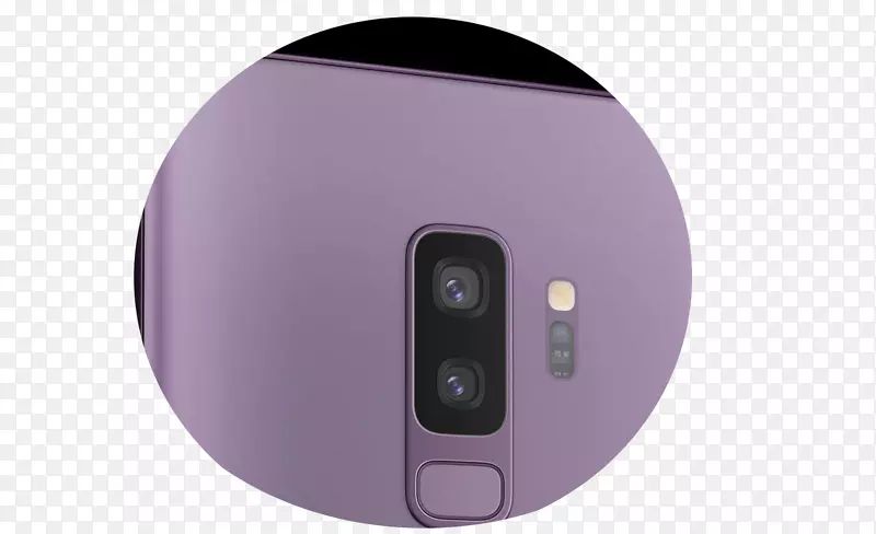 ���Ӷ�ý�����-������