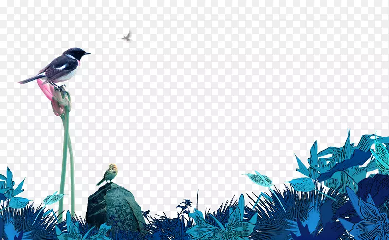 ��ɫˮ�ʻ�-����-������