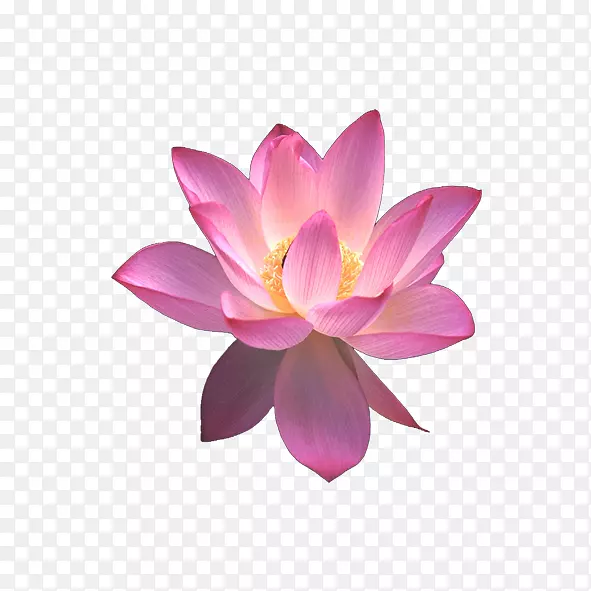 �����������������-����-������