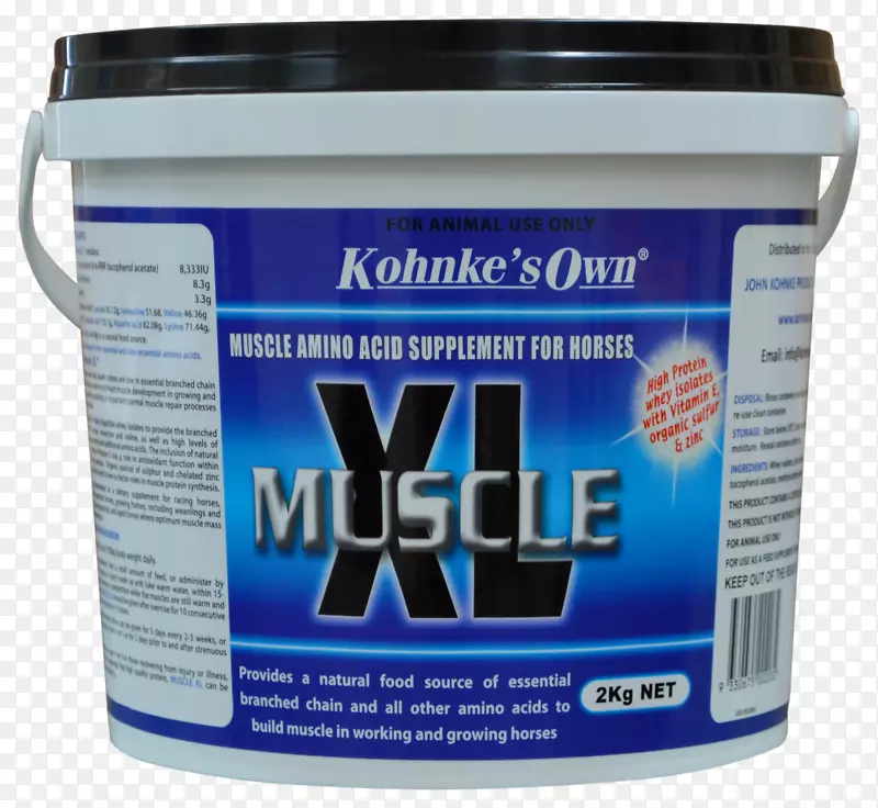 ����ʳ���������֧����������ͷǦ-������