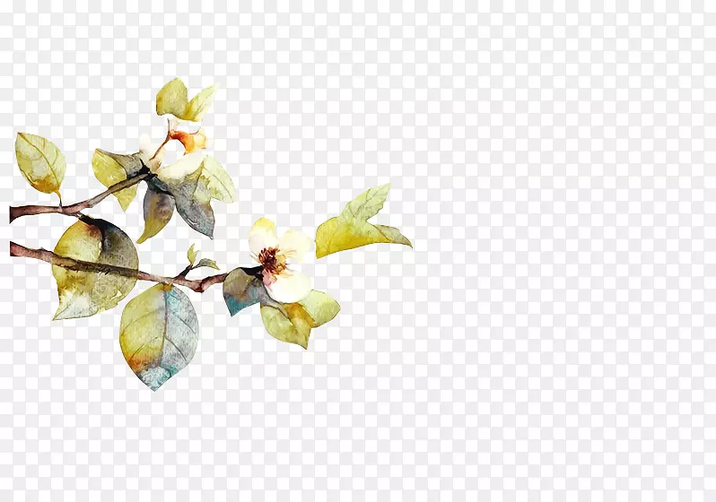 ˮ�ʻ����-������