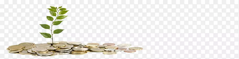 ��Ӱ��˰-���������Ǯ-������