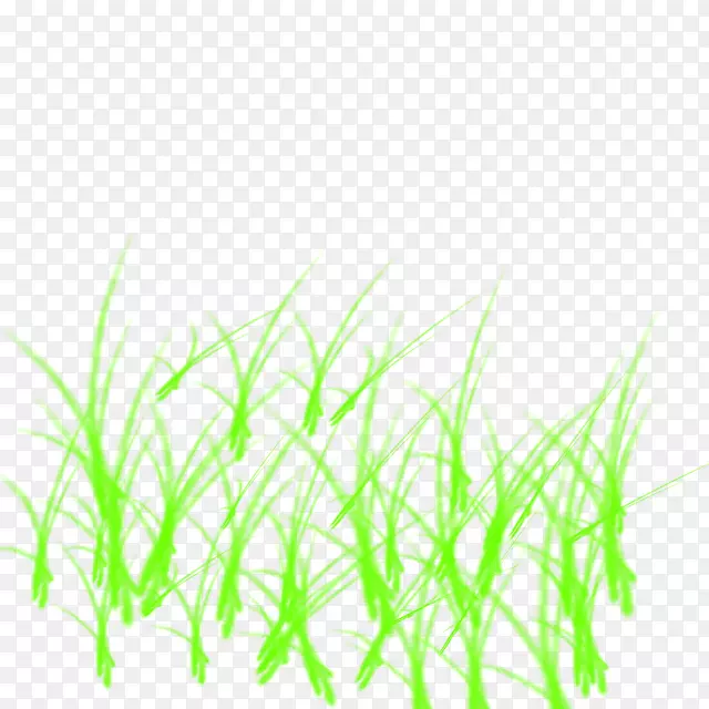 �������ˮ�����-������