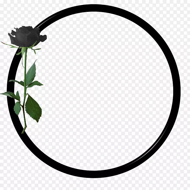 ԲҶ�����ʼ���������Ȧ-������