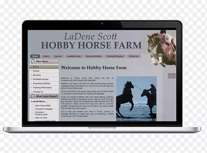 չʾ���Ʒ�ƶ�ý��-������-������