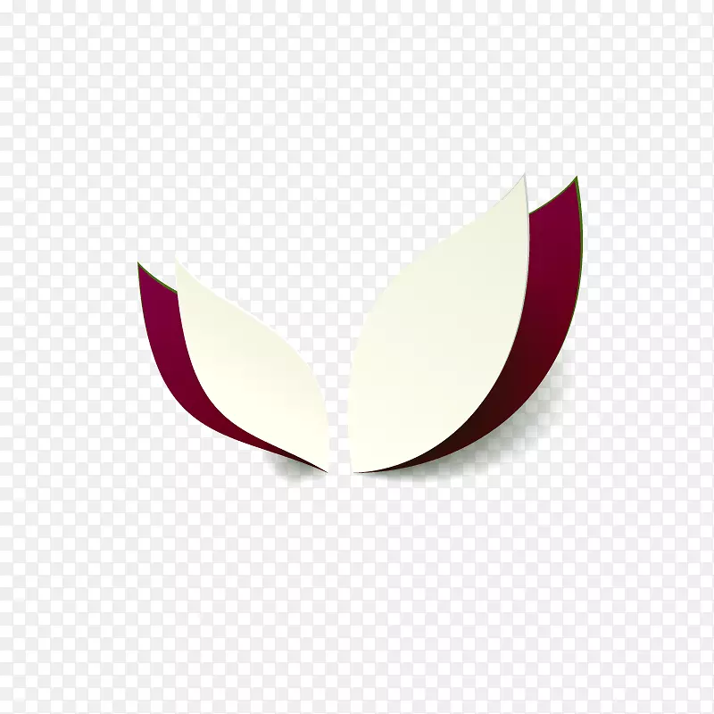 �����ֽ�������-������