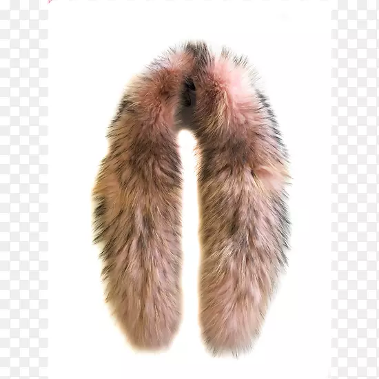 ëƤ����-ëƤ�����-������