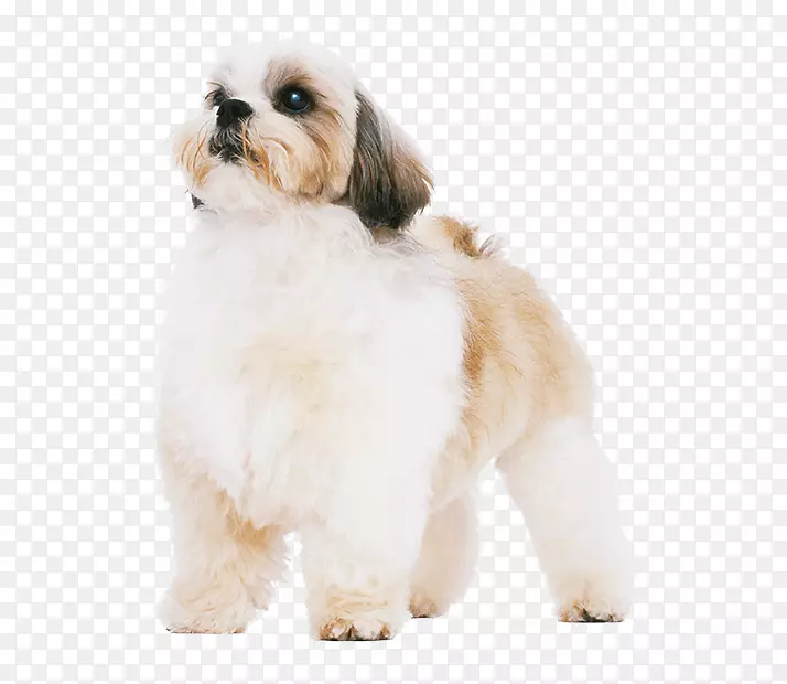 ʷ�����������������С��Ʒ��-������