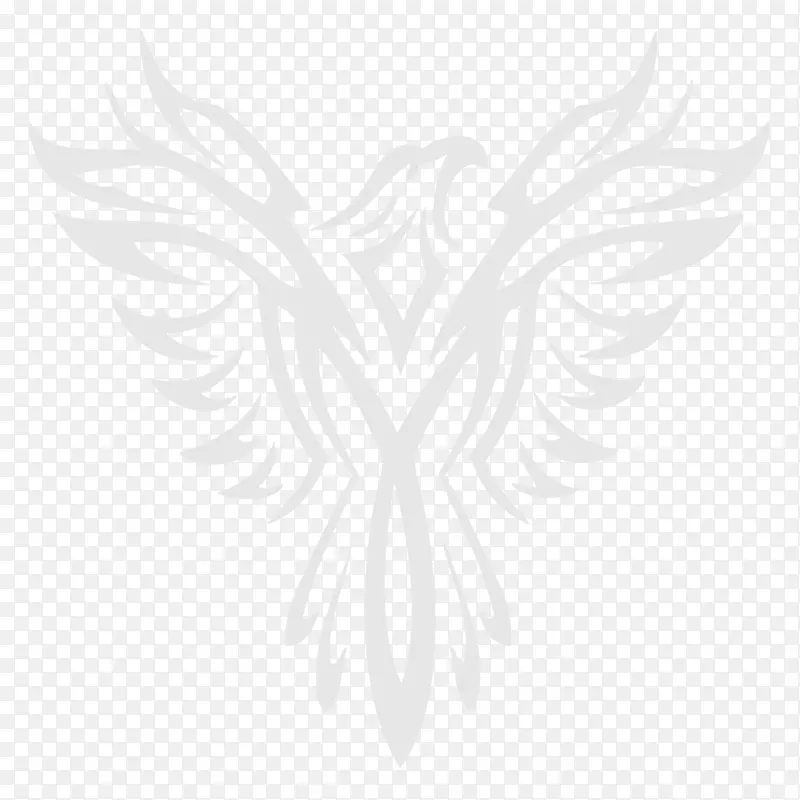 ��˹�������Ŵģ�pt���������ͼ��-ӥ���-������