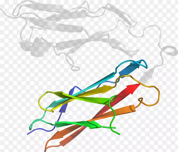 �ߵ������μ�����.��-������