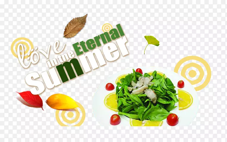 �߲���ʳ����ʳ�߲�Ҷ-������