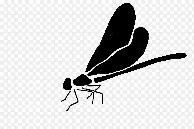 ��������-����-������