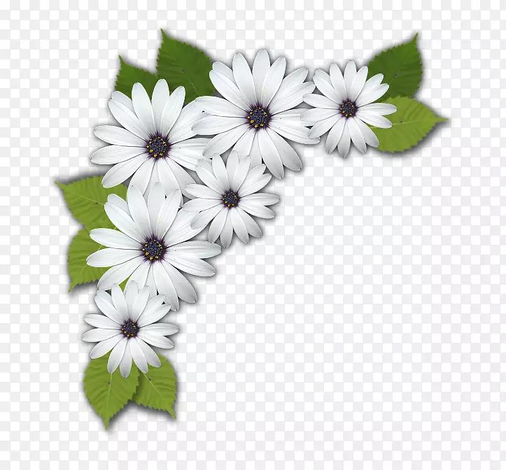 ��������л������ջ�-������