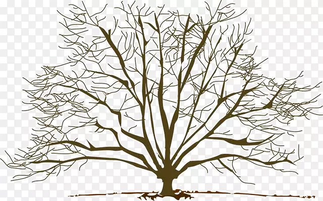 ��֦���������-��-������