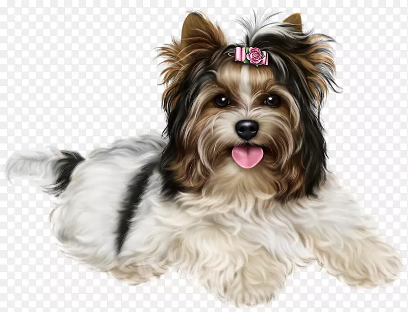 Ӣ��Լ�˿���Ȯ�ȸ���Ȯ������Ȯ-С��-������