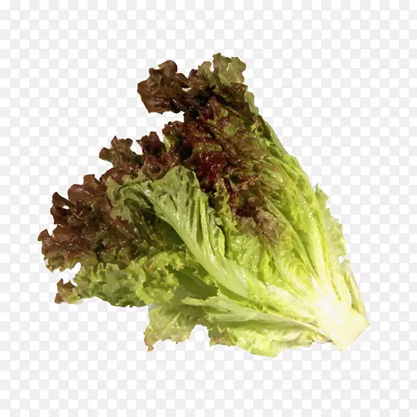 ��Ҷݫ�������ز��߲˱�ɽ����-�߲�-������