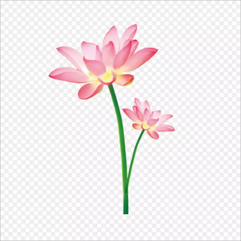 ����ͼ��-����-������