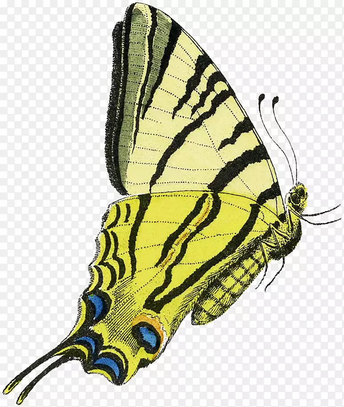 ��������ˢ��������������-������