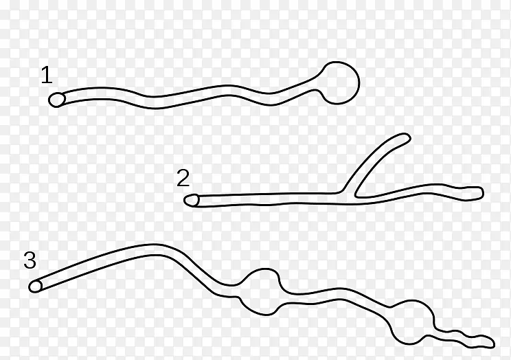 ��ǰ׾�-������