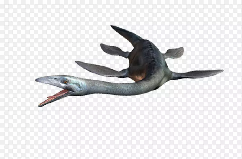 ��������-ˮ����-������