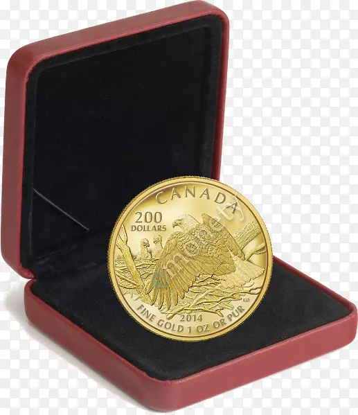 ���ô��ҷ�Ҷ���-������