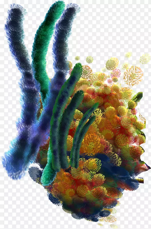 ���庣��-������