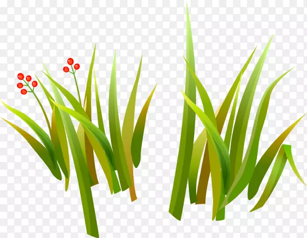 �ݱ�ֲ��ҩ��ֲ�������-������