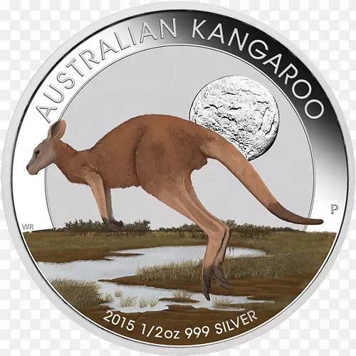 ��˹���������-������