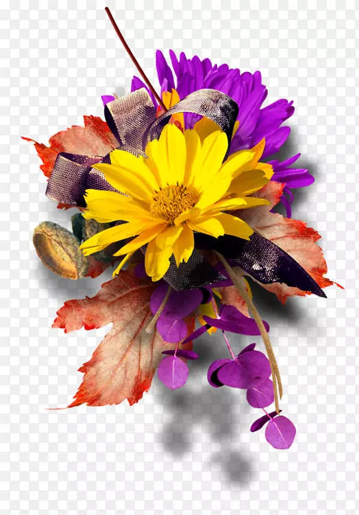 ������ƻ�����õ����껨��ֲ����ͼ-������