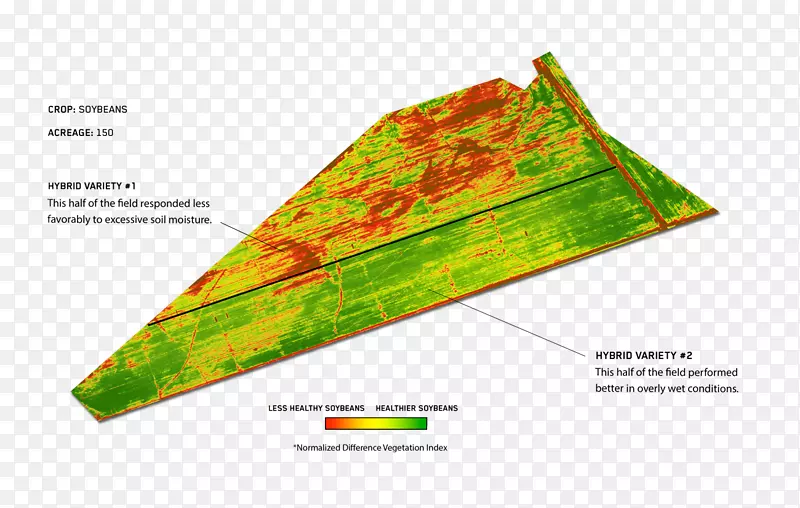 ����ͼ-������