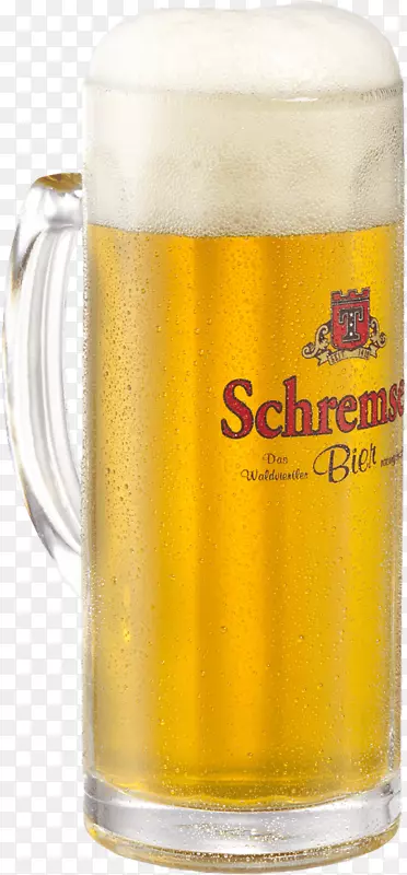 ơ��SteinƷ�Ѳ����ʼ�Ʒ��ơ��-������