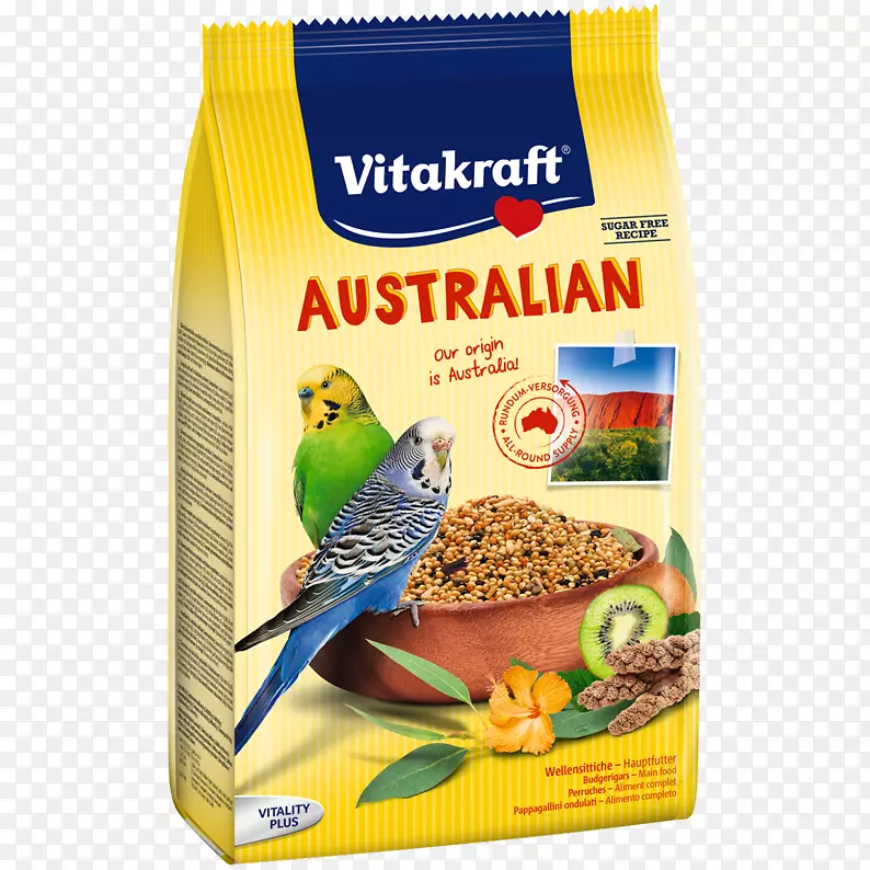 �Ĵ�����������-�Ĵ�����-������