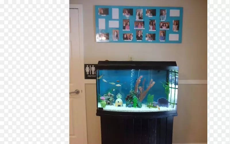 ˮ��ݲ�����ˮ����-������