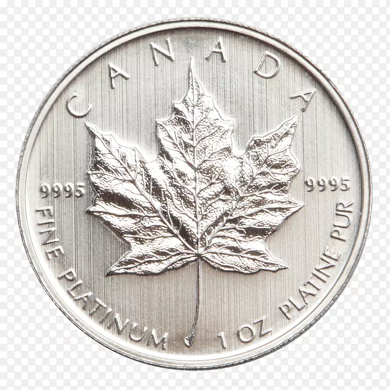 ��Ҽ��ô���Ҷ����-������