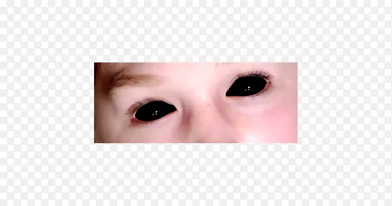 ��ë���죬���գ��°ͣ�üë����ͷ-����-������