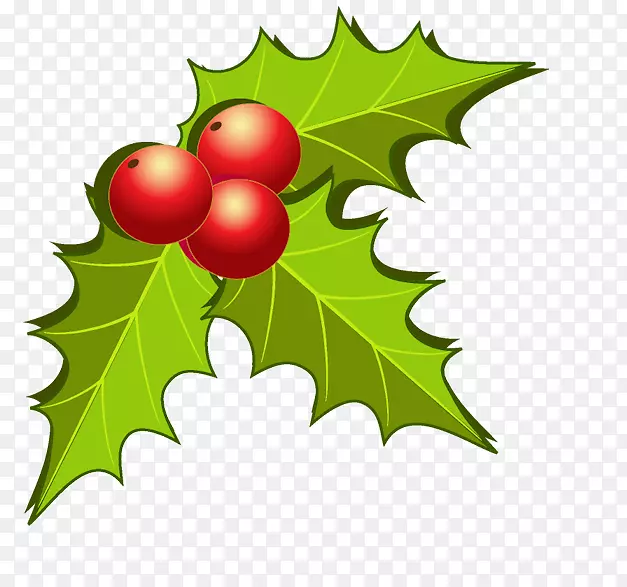 ˮ��Ҷʥ��������-������