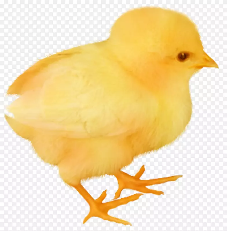 ���Ƽ�Ӱ��ֽ�����Ӱ����ͼƬ-������