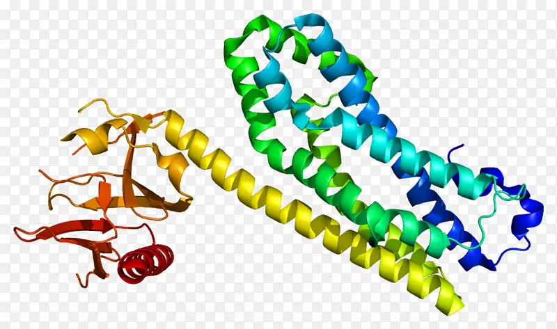 �����鱦������.�鱦-������