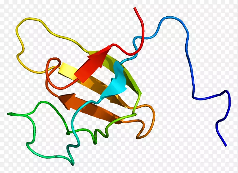 �ߵ������������-������