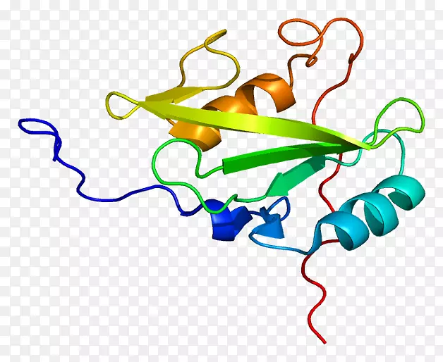 �����鱦������.�鱦-������