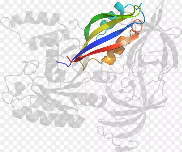 ƽ����Ƽ�����.���-������