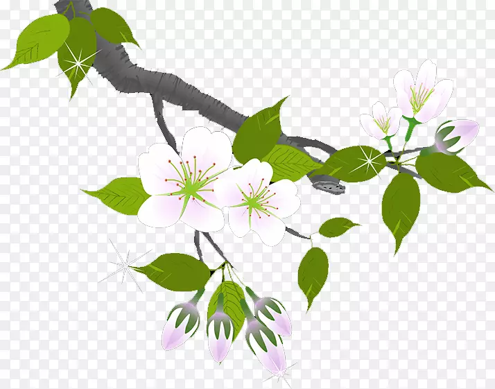 ÷��֦������-÷��-������