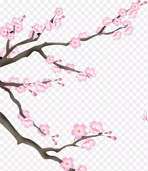 YY.com�ֳ������赸Bilibili��Ƶ-÷��-������